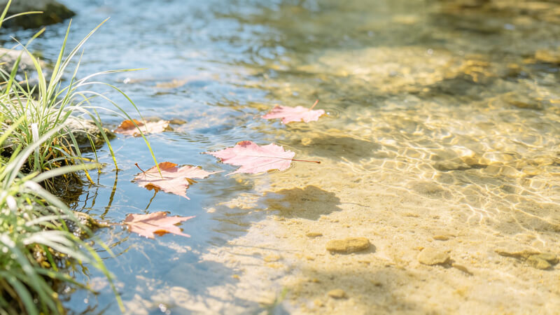 畜牧養(yǎng)殖、石油化工、水產(chǎn)養(yǎng)殖推薦選用！便攜式快速水質(zhì)檢測儀靠譜之選