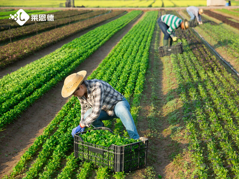 種植大戶選科研級土壤肥料有機質檢測儀 實用選購指南